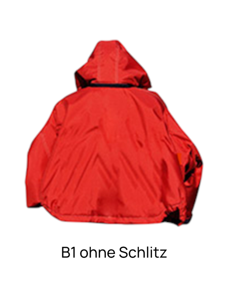 B1